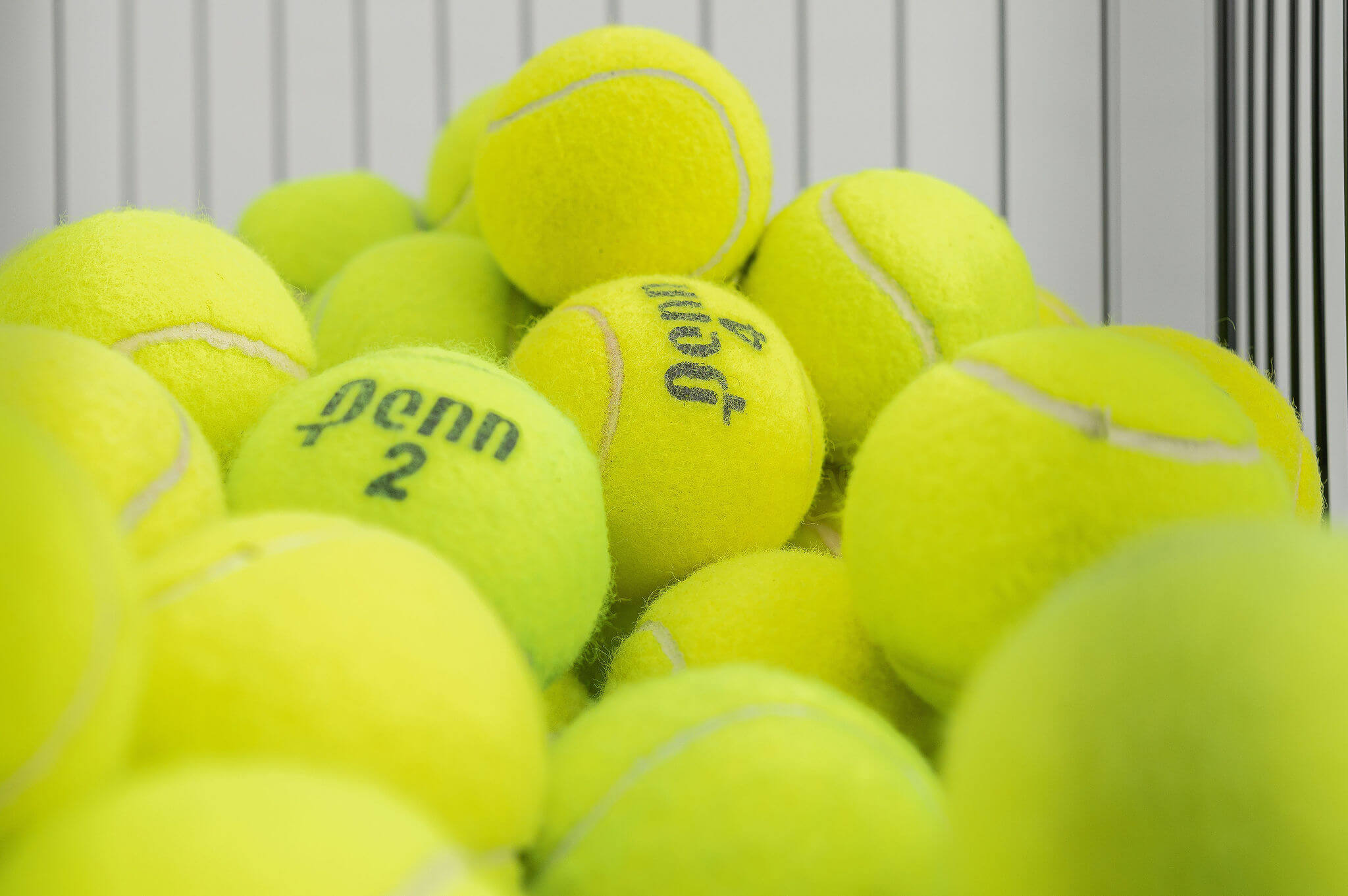 25 Tennis Balls For Dogs