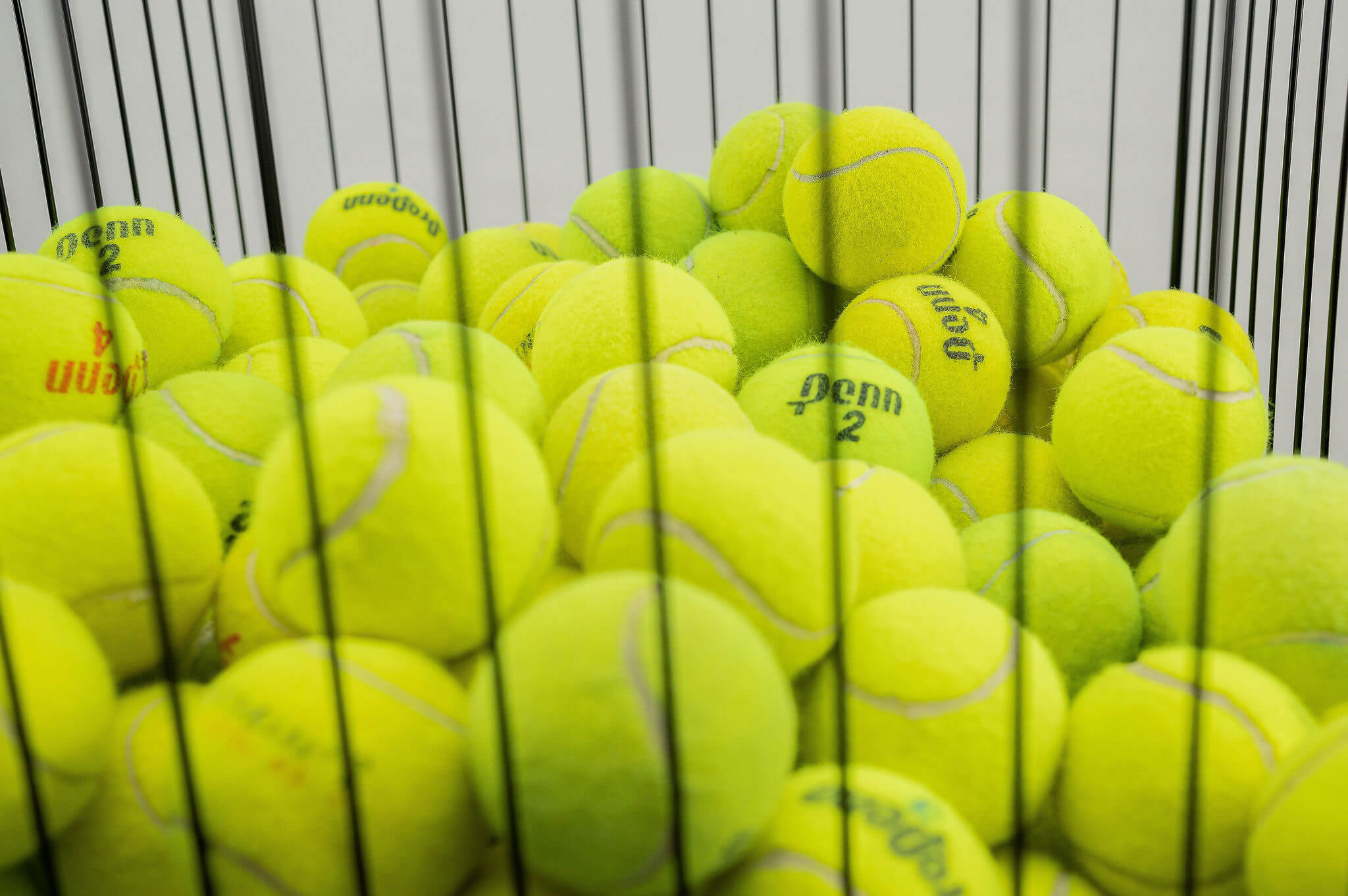 25 Tennis Balls For Dogs