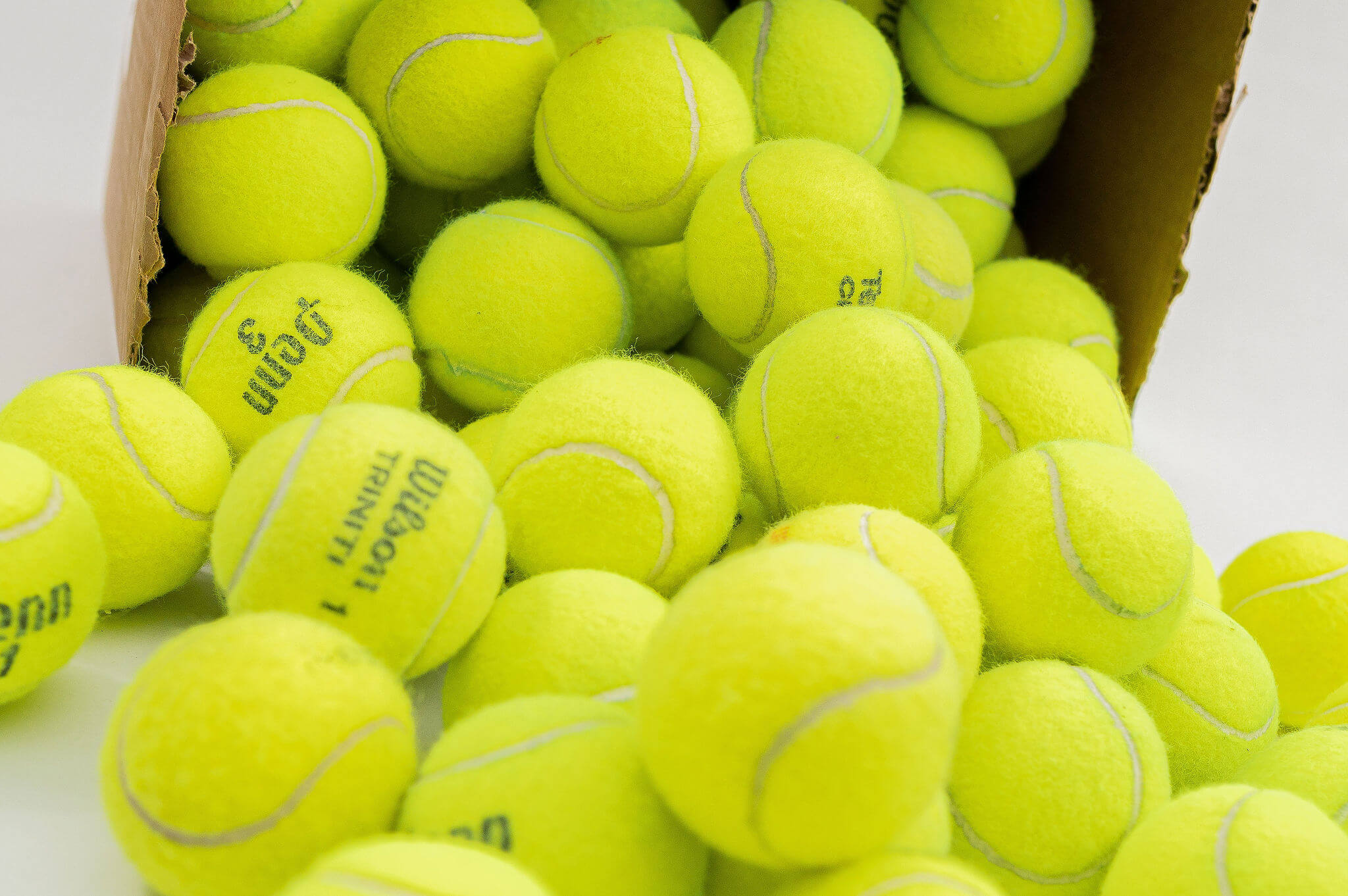 100 Tennis Balls For Dogs